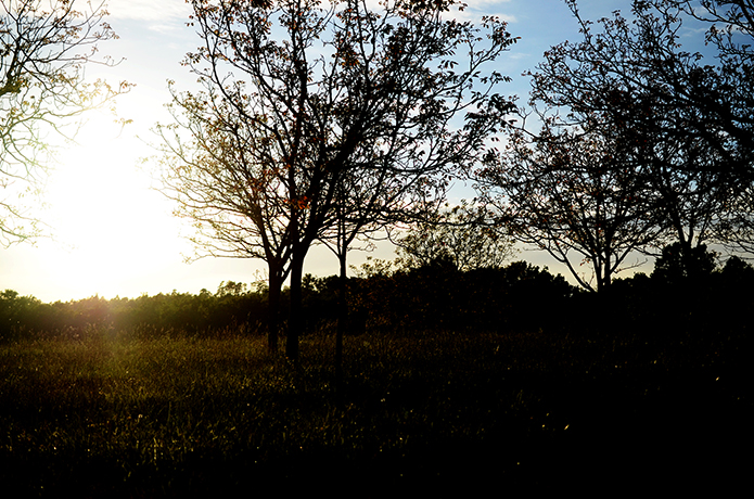 DSC_2000 copie_perigord