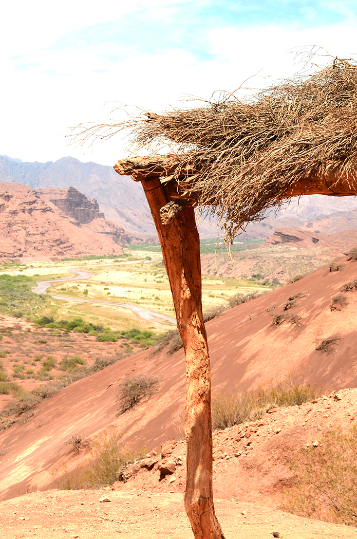 argentine_bolivie_DSC_2840