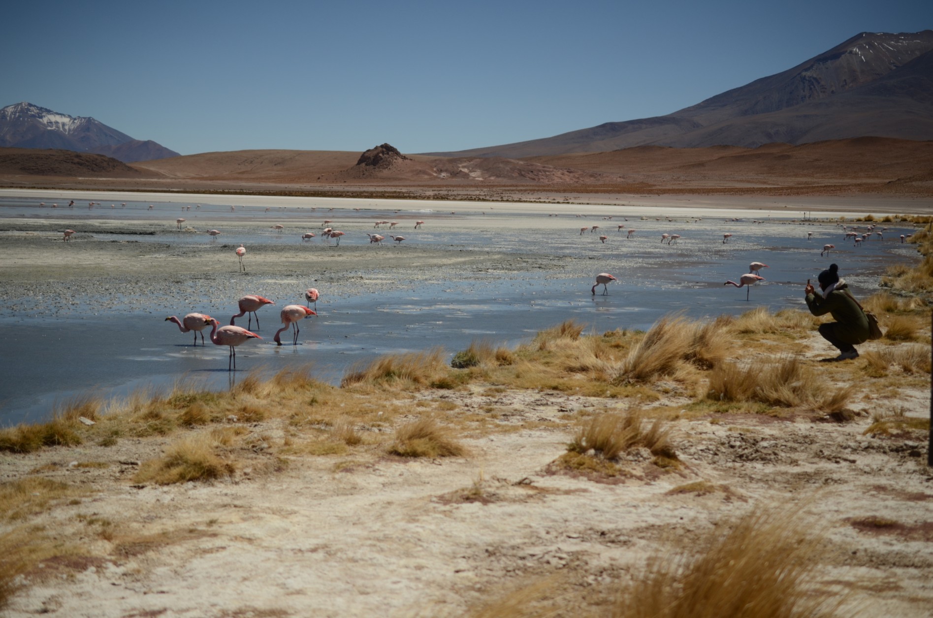 la bolivie voyage 