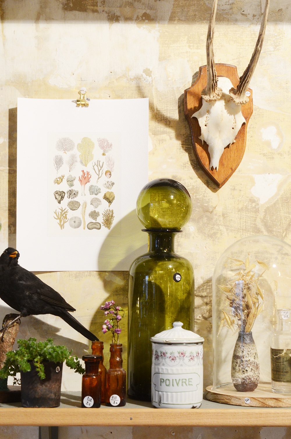 boutique les fleurs décoration rue trousseau paris 