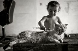 Alain Laboile photographie la famille et la nature