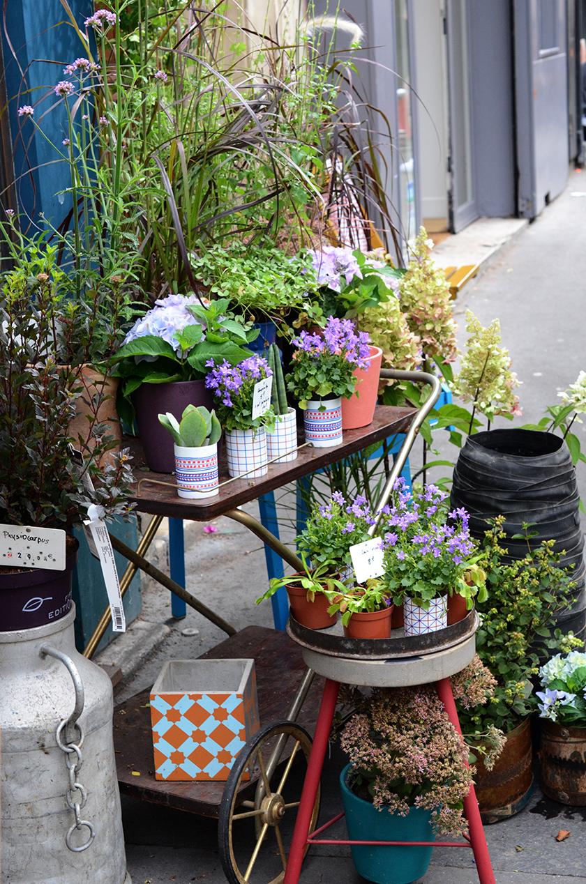 memedanslesorties_fleuriste_paris_fernande_et_rene_dsc_0650-copie