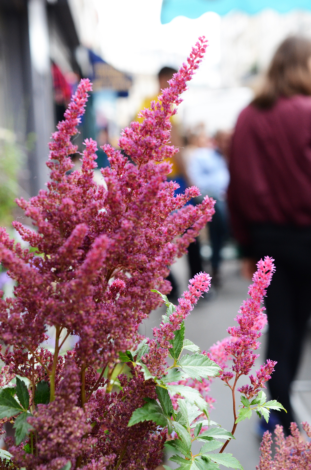 memedanslesorties_fleuriste_paris_fernande_et_rene_dsc_0656-copie